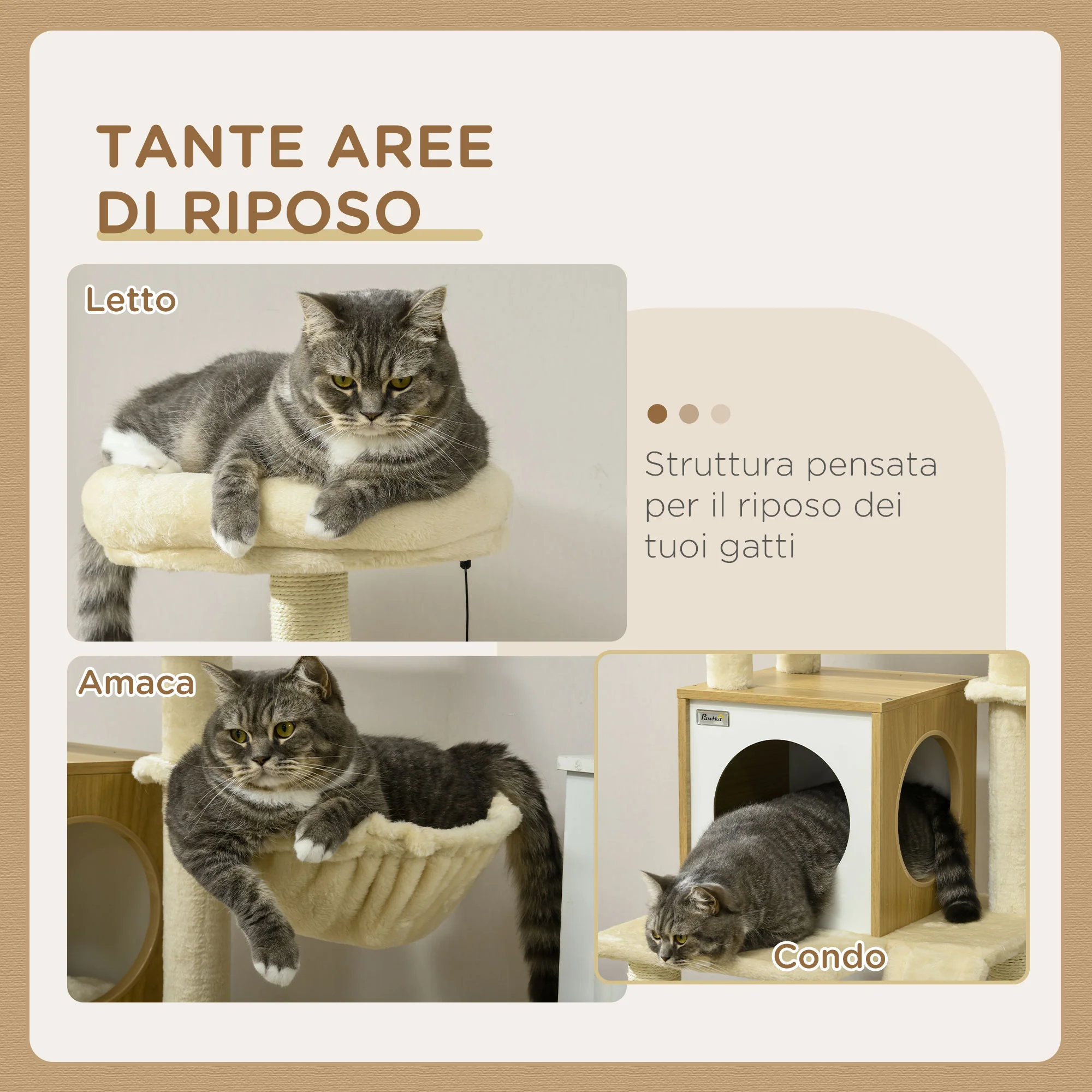 Immagine prodotto 5