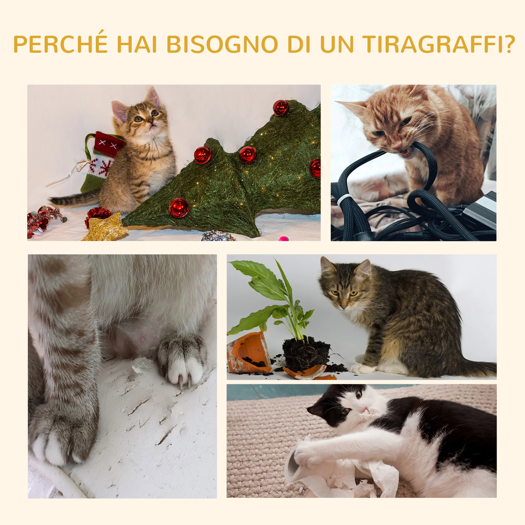 Immagine prodotto 7