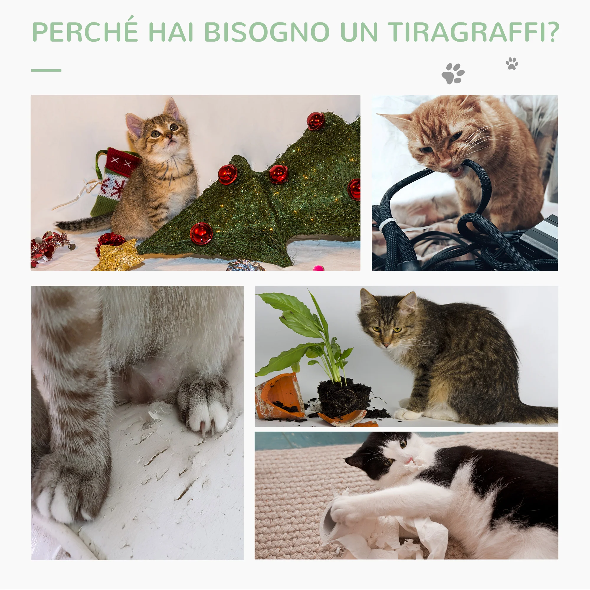 Immagine prodotto 6