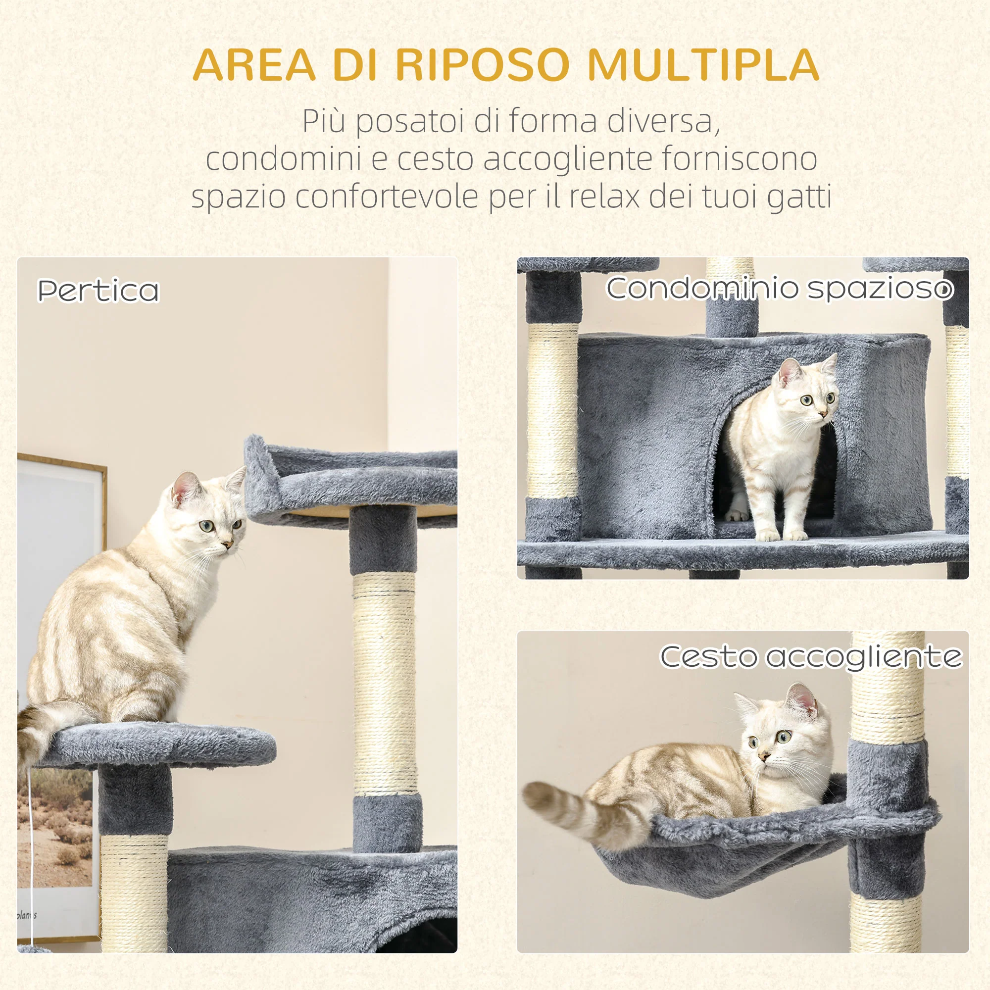 Immagine prodotto 6