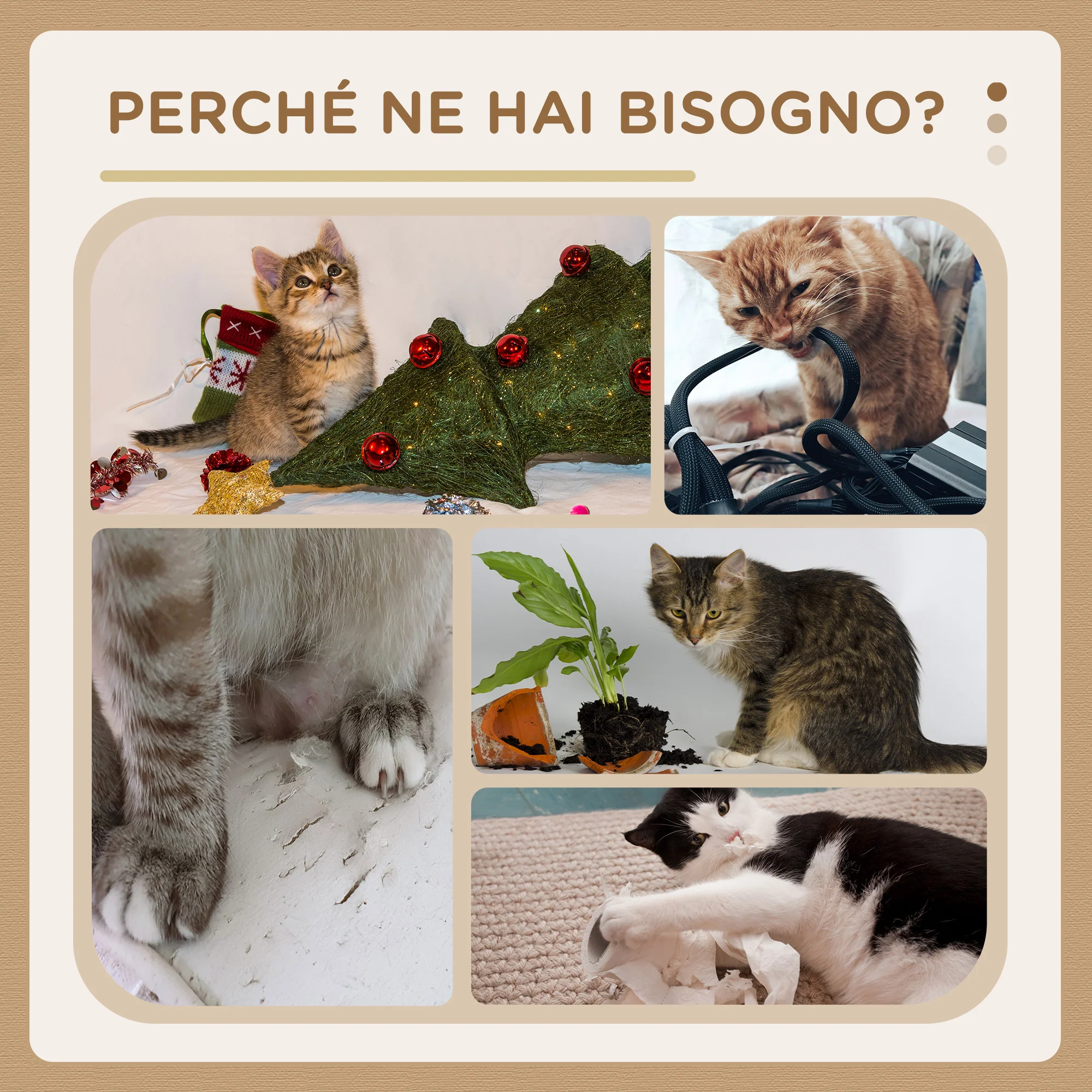 Immagine prodotto 5