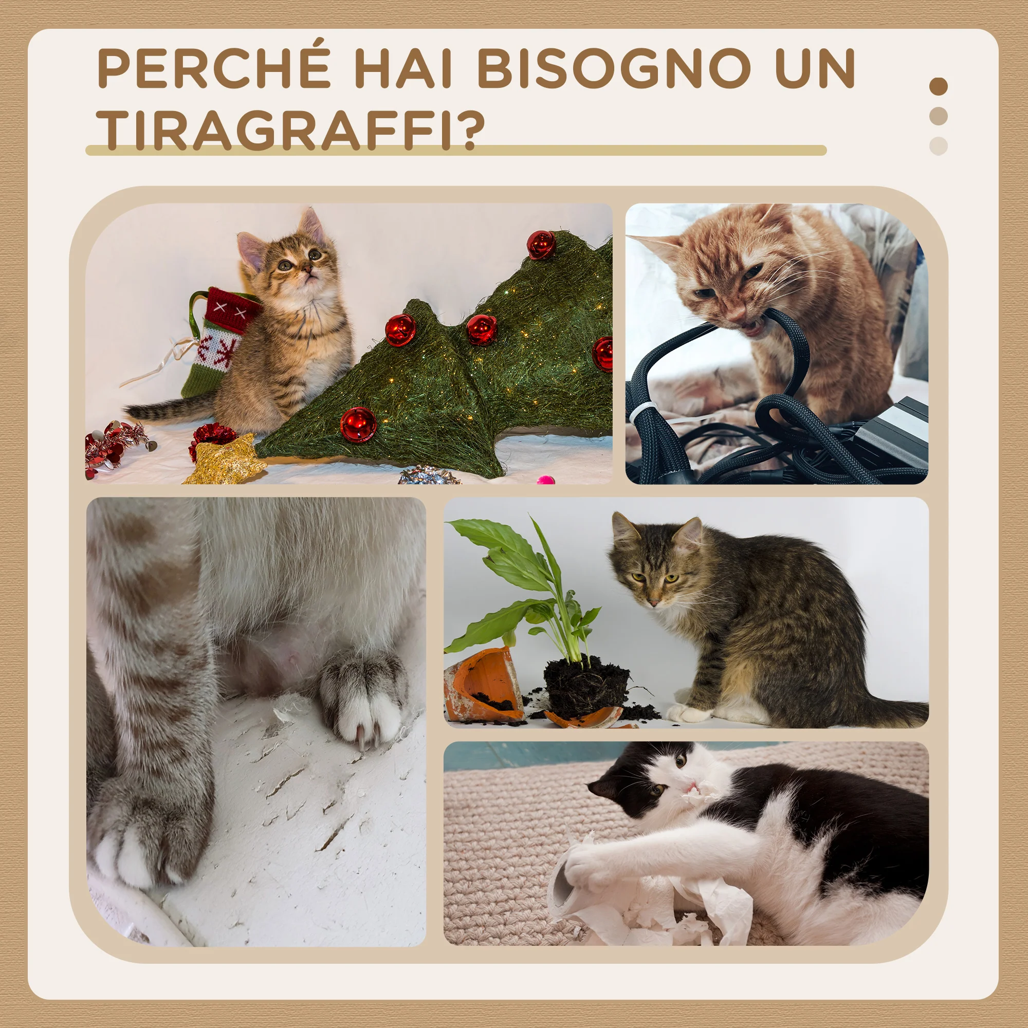 Immagine prodotto 6