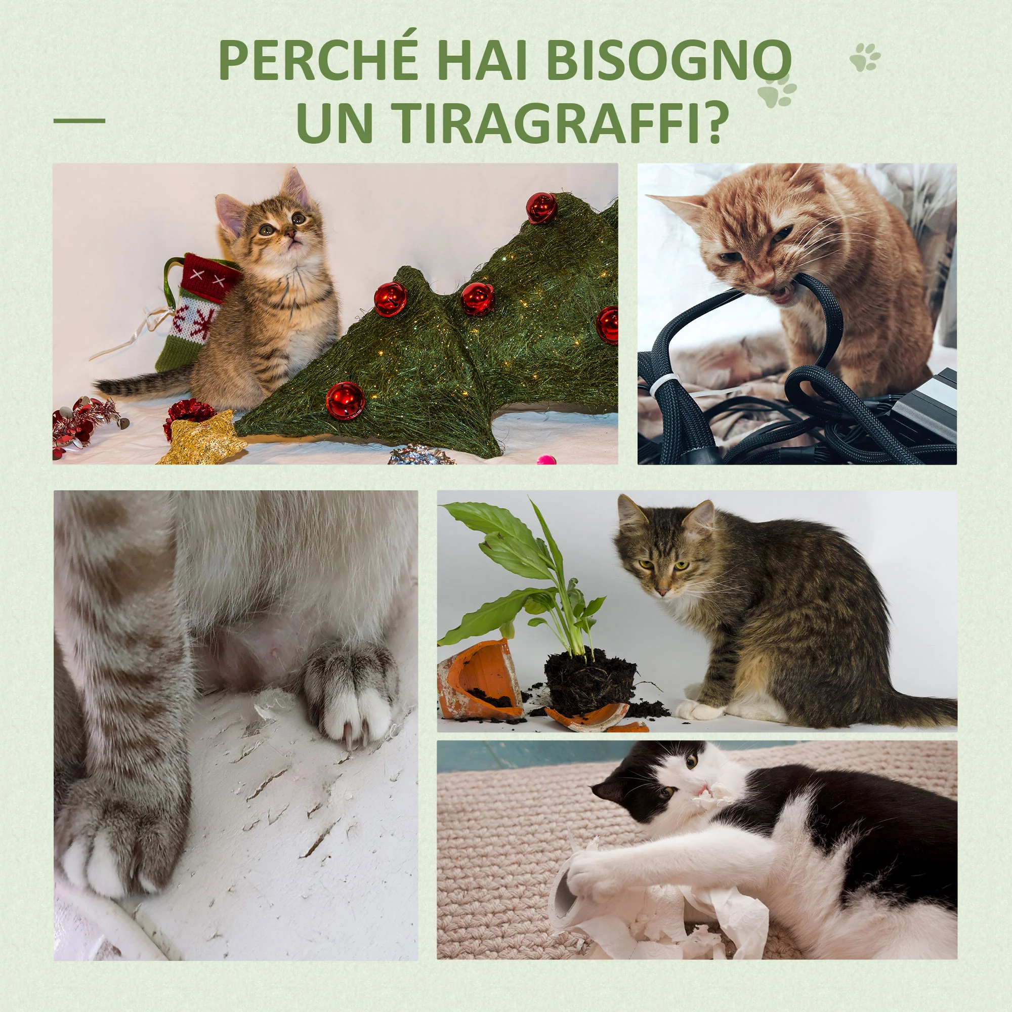 Immagine prodotto 7
