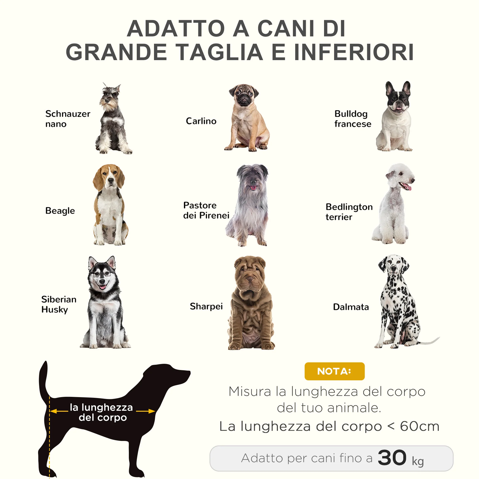 Immagine prodotto 8