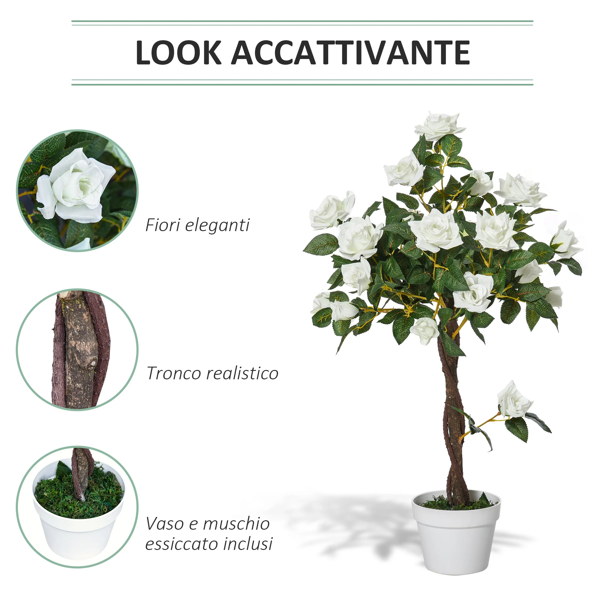 Immagine prodotto 5