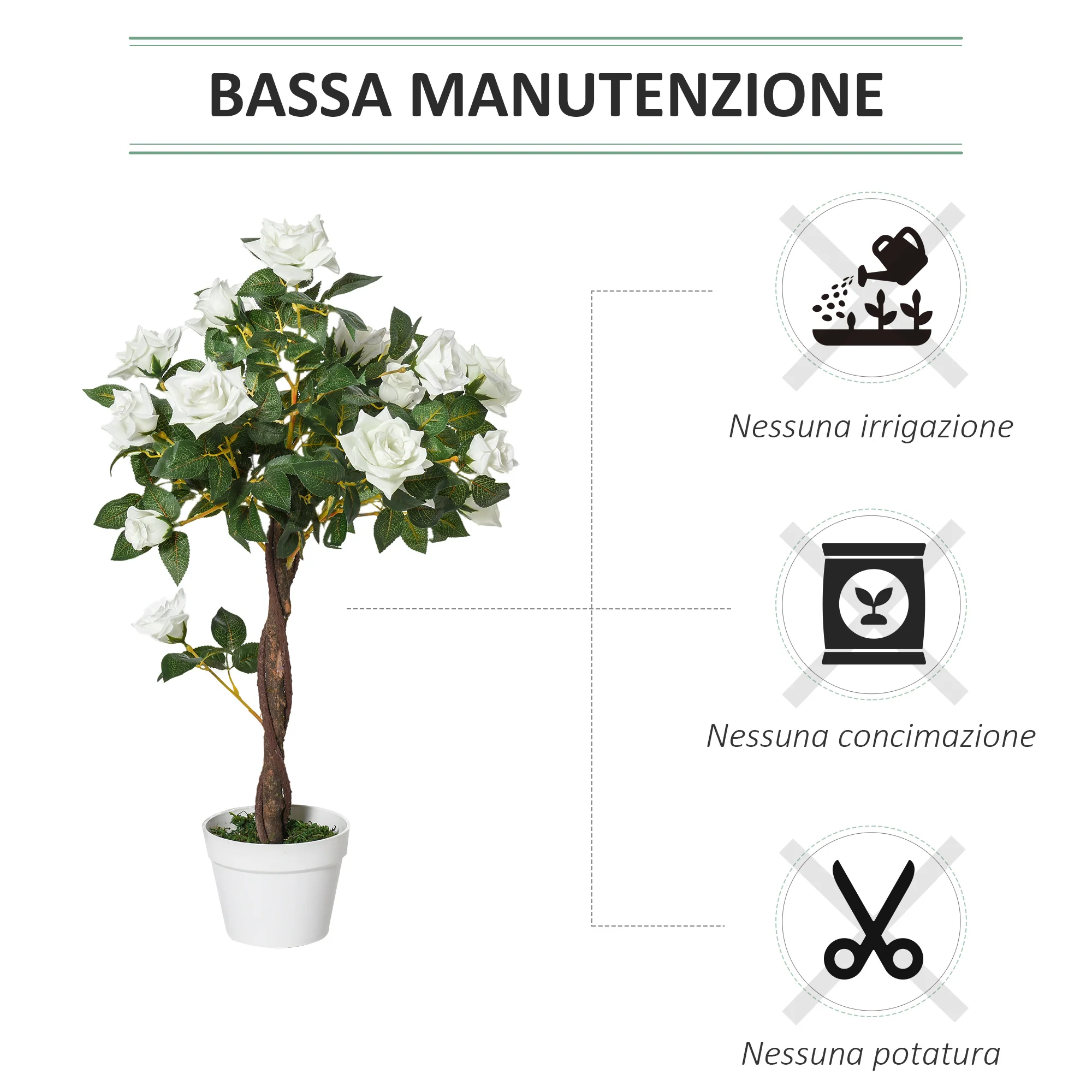 Immagine prodotto 6