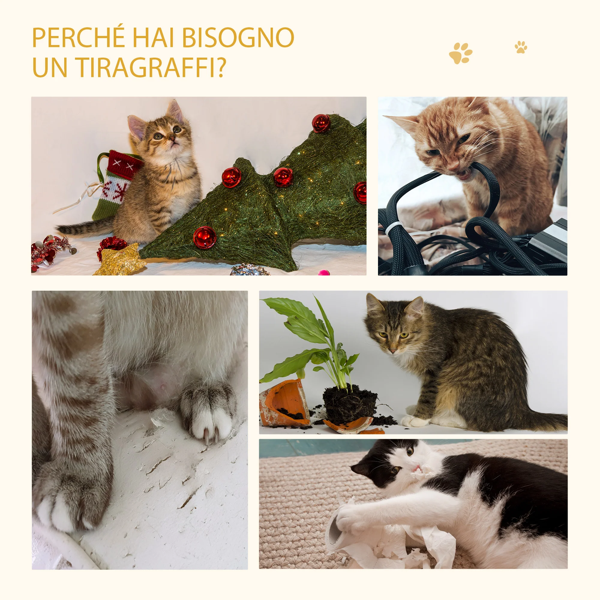 Immagine prodotto 7