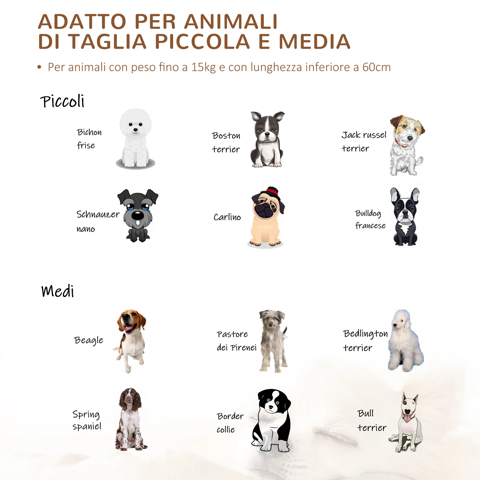 Immagine prodotto 7