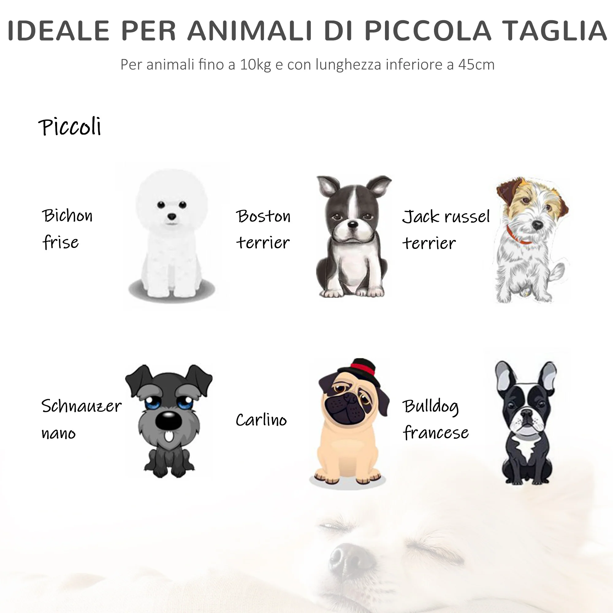 Immagine prodotto 6