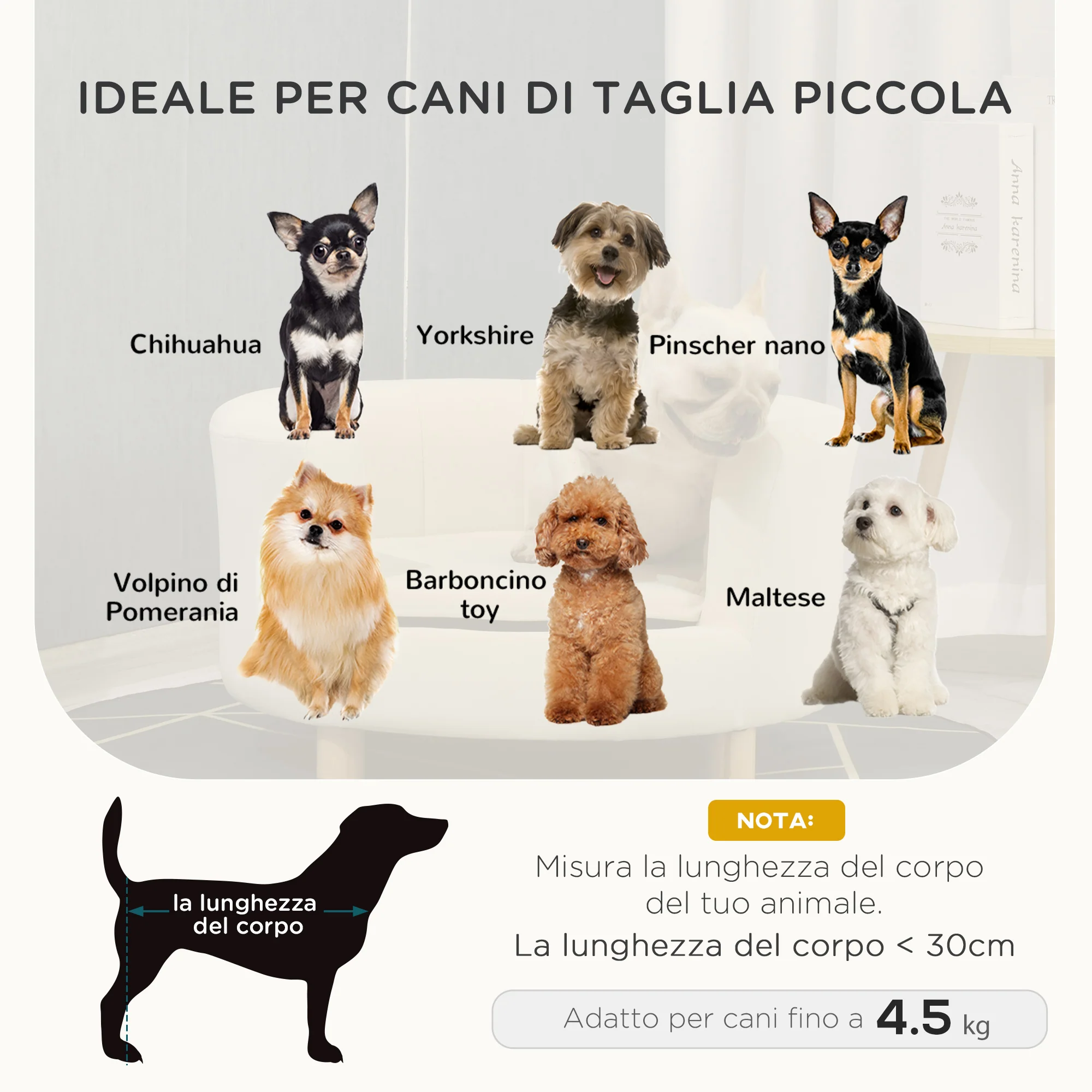 Immagine prodotto 4