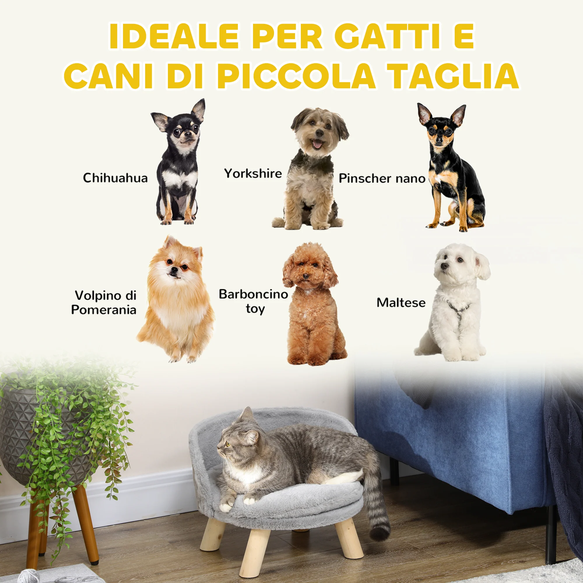 Immagine prodotto 4