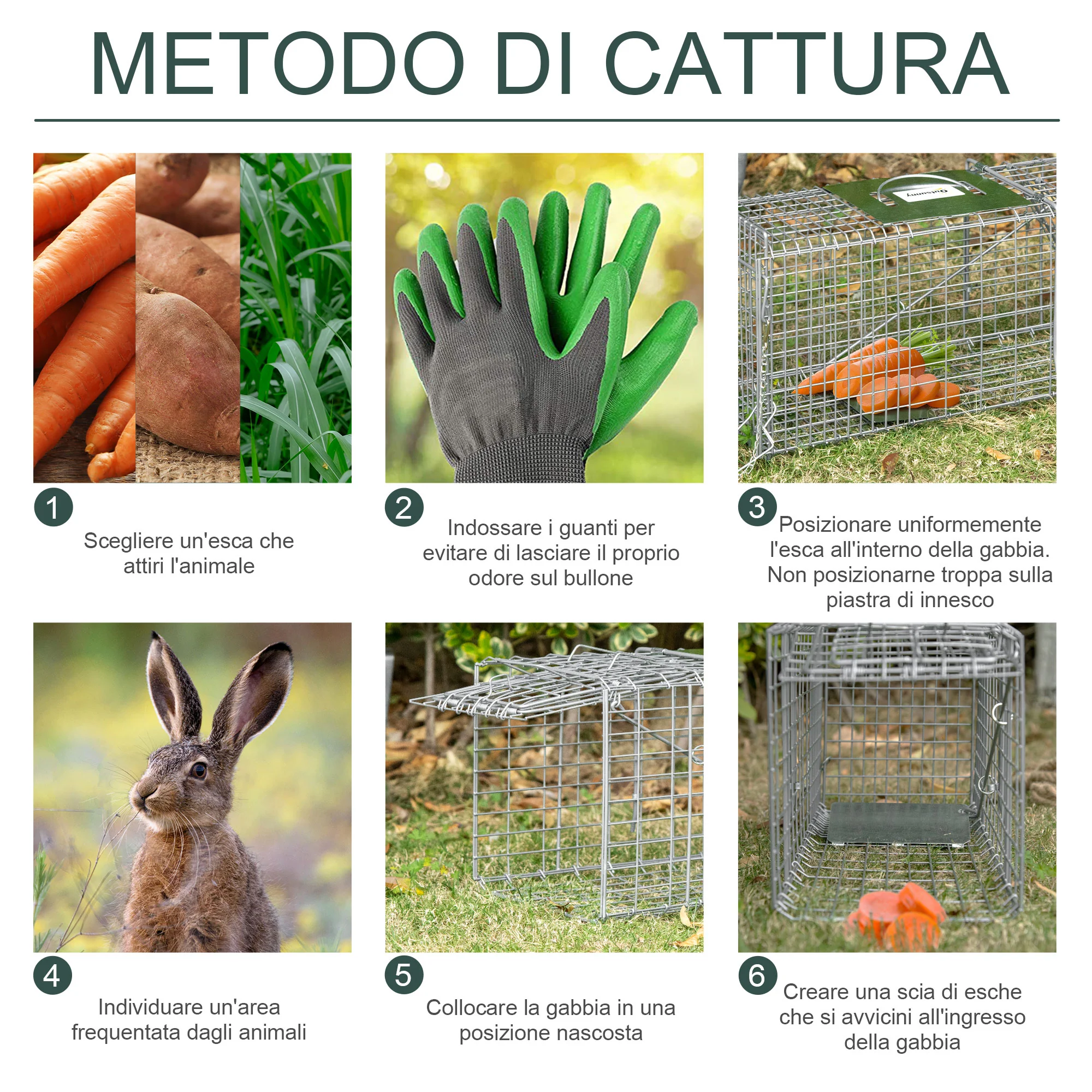 Immagine prodotto 5