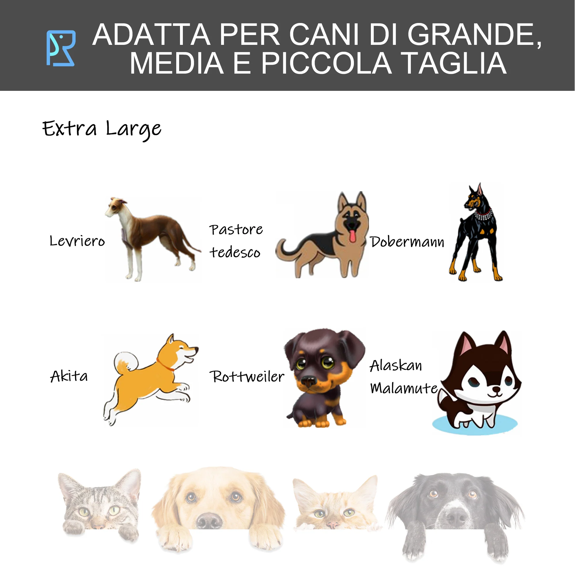 Immagine prodotto 8