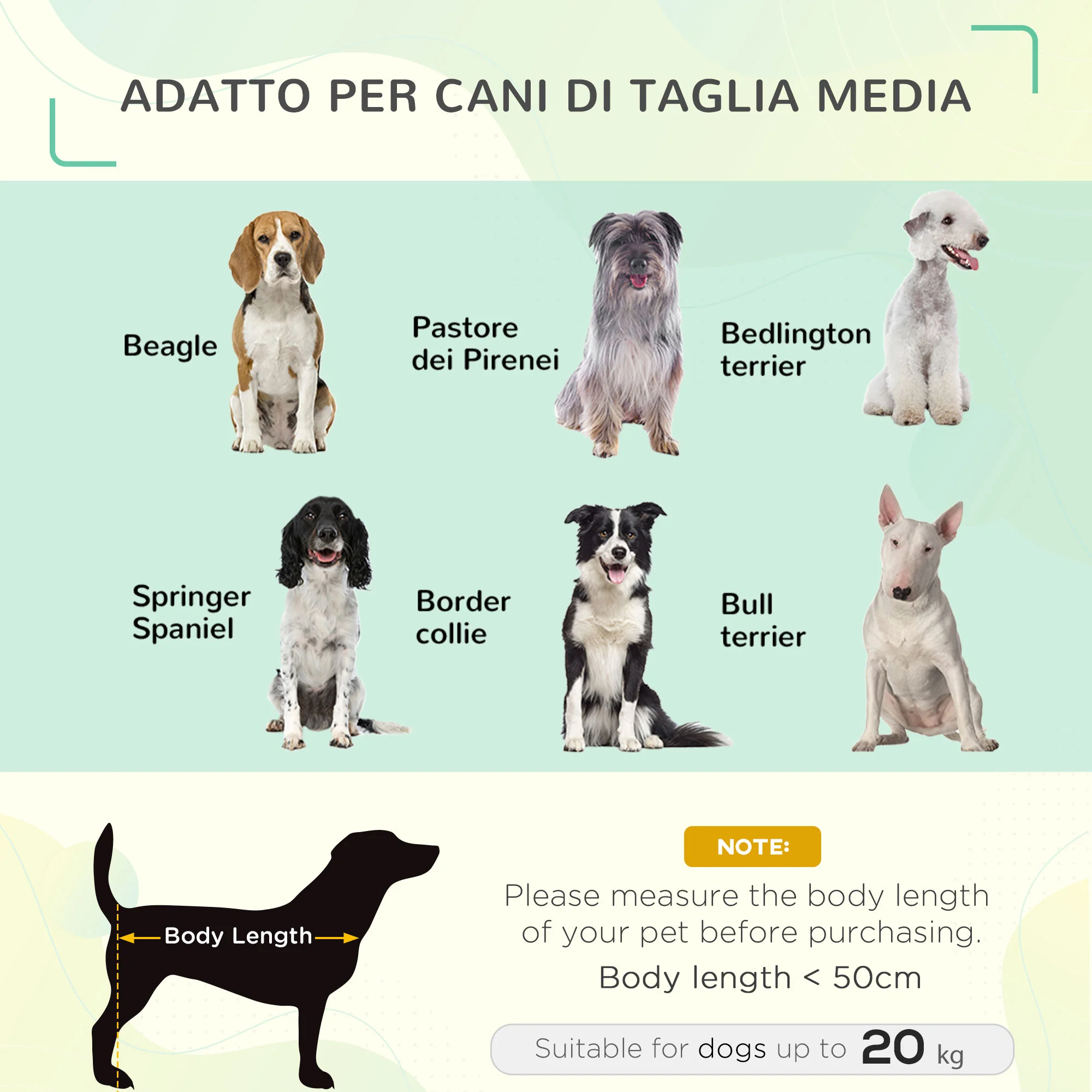 Immagine prodotto 4