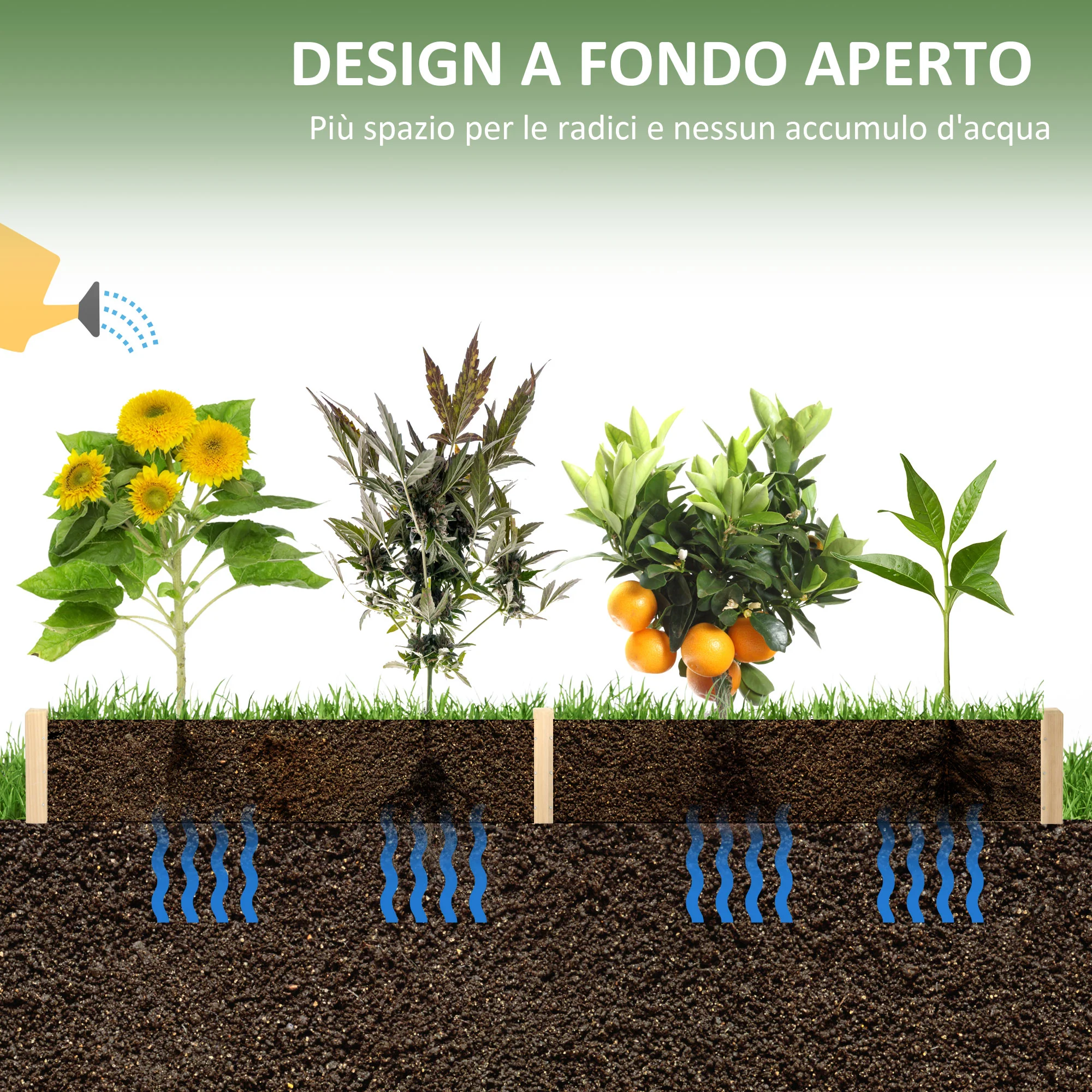 Immagine prodotto 5
