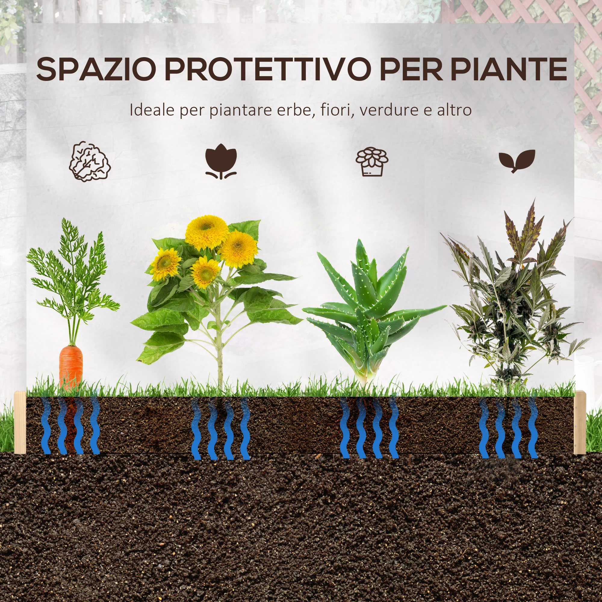 Immagine prodotto 7