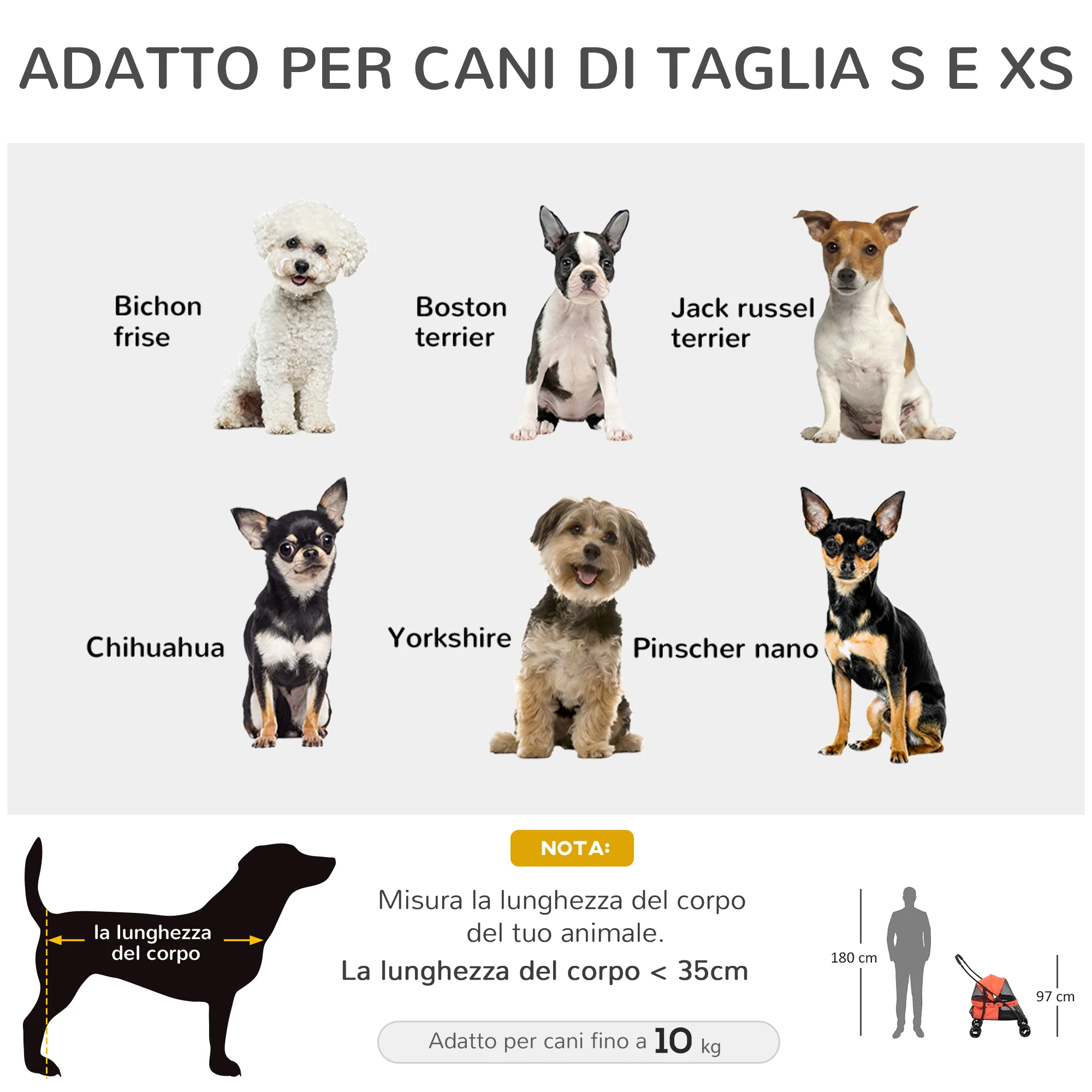 Immagine prodotto 4