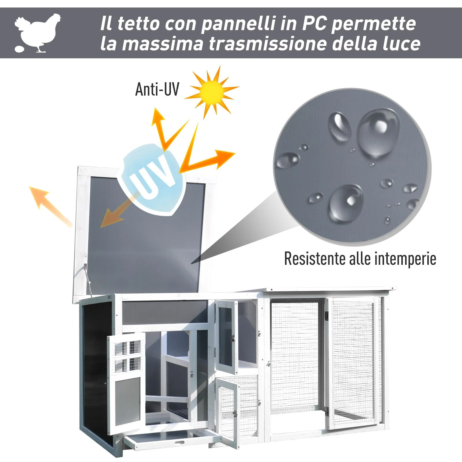 Immagine prodotto 5