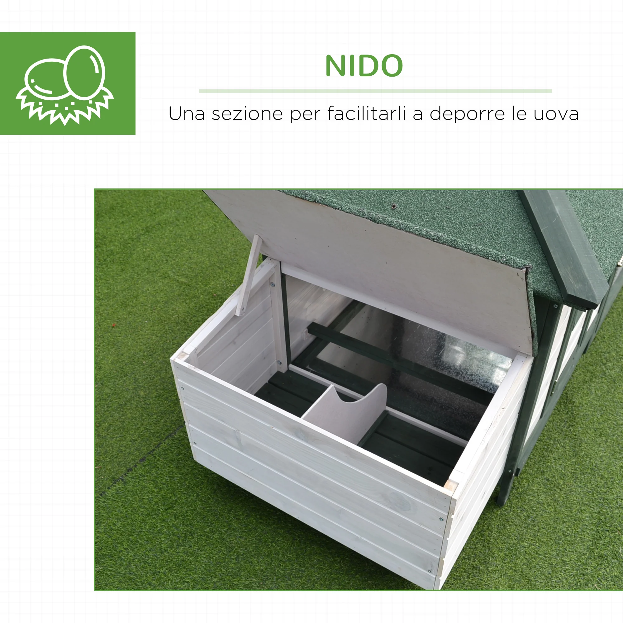 Immagine prodotto 6