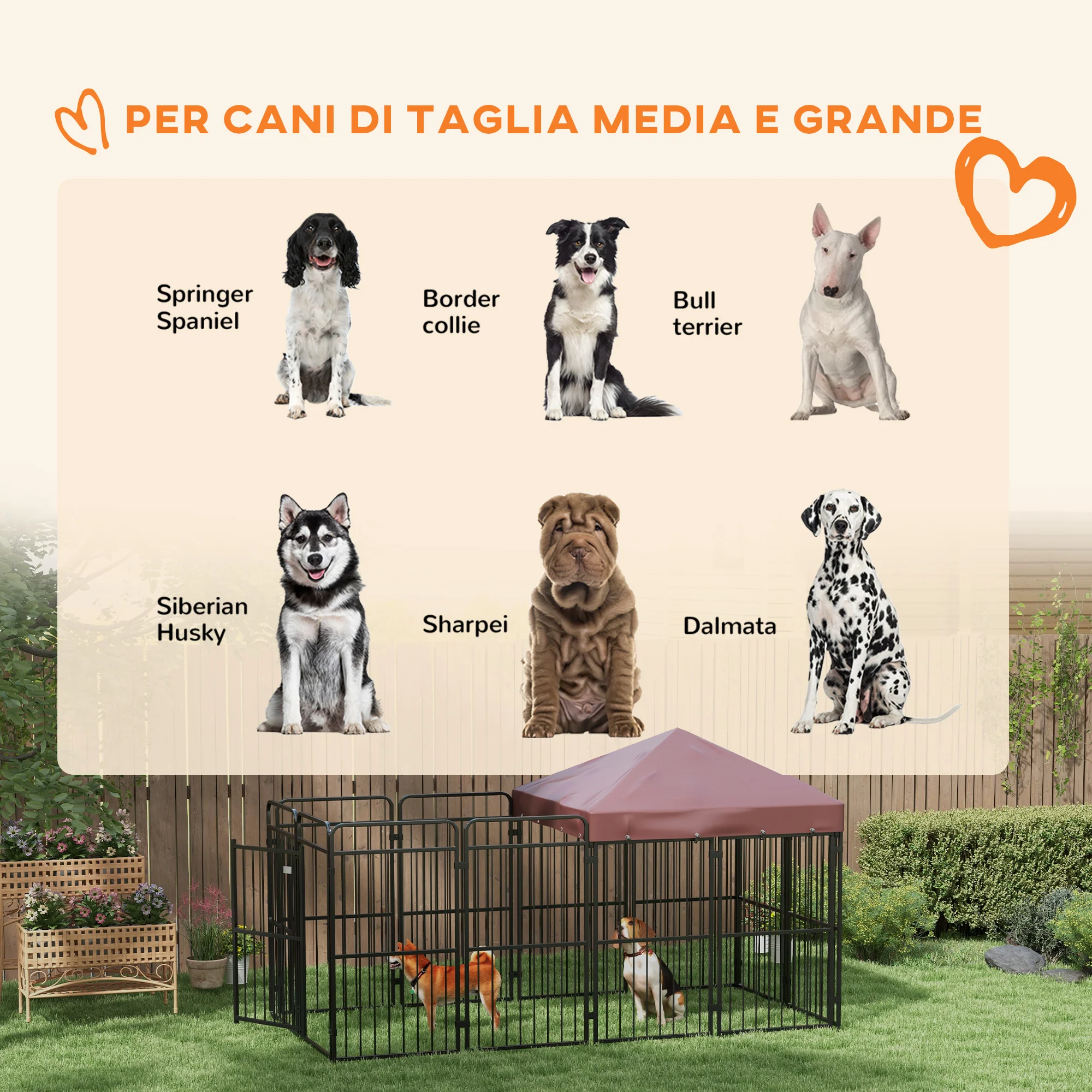 Immagine prodotto 4