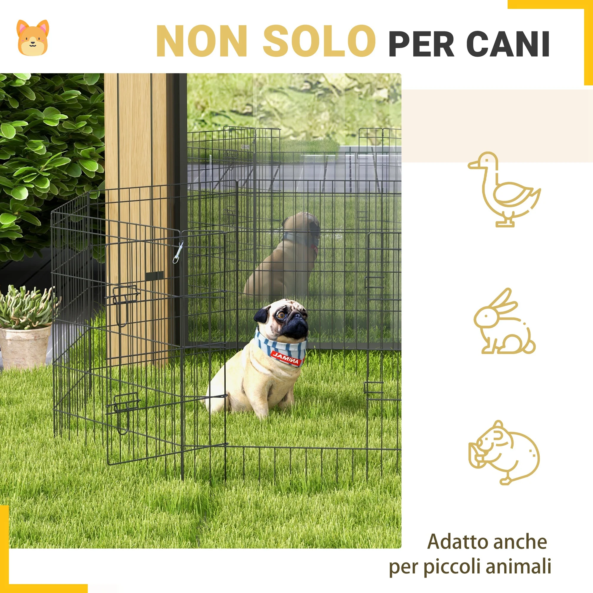 Immagine prodotto 5
