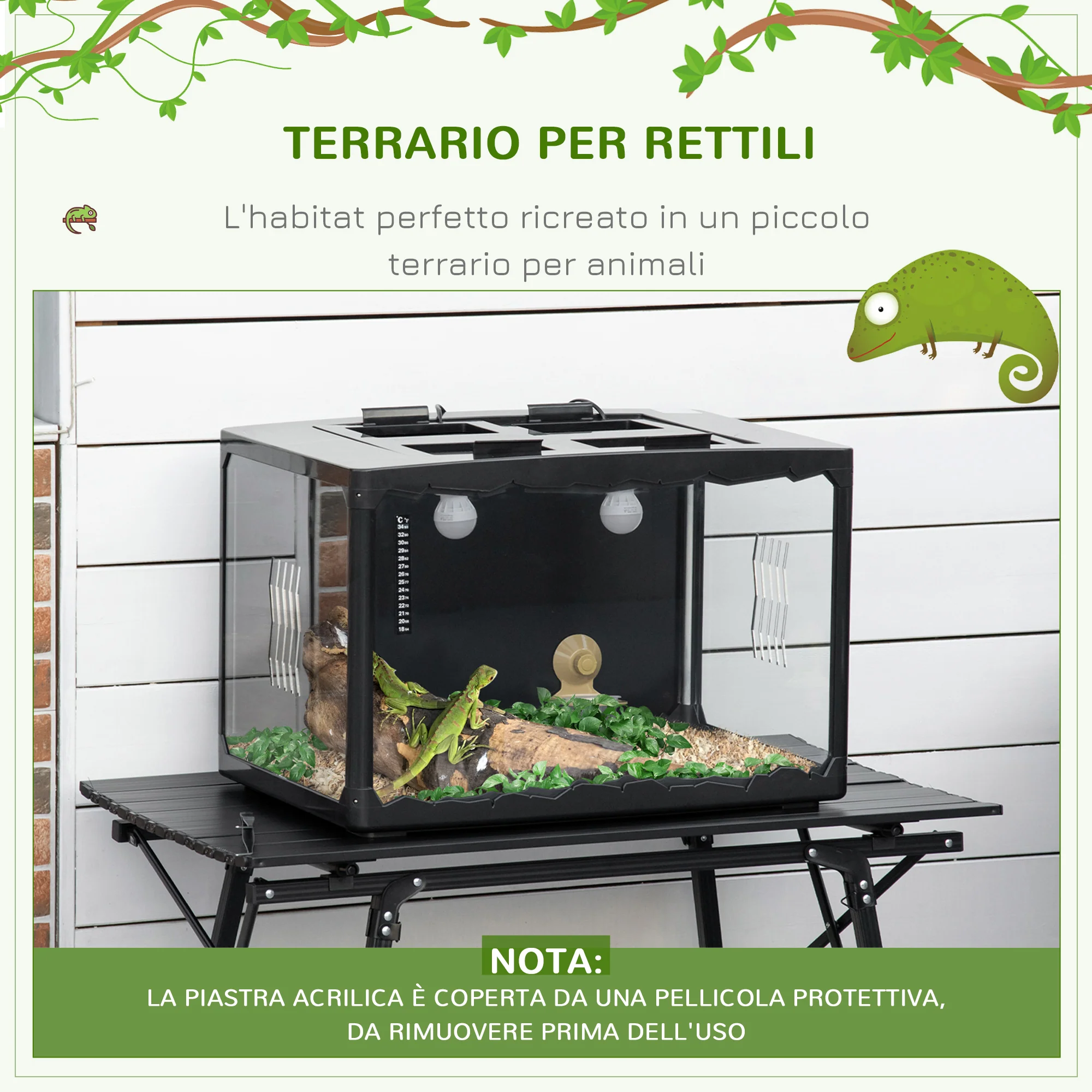 Immagine prodotto 4