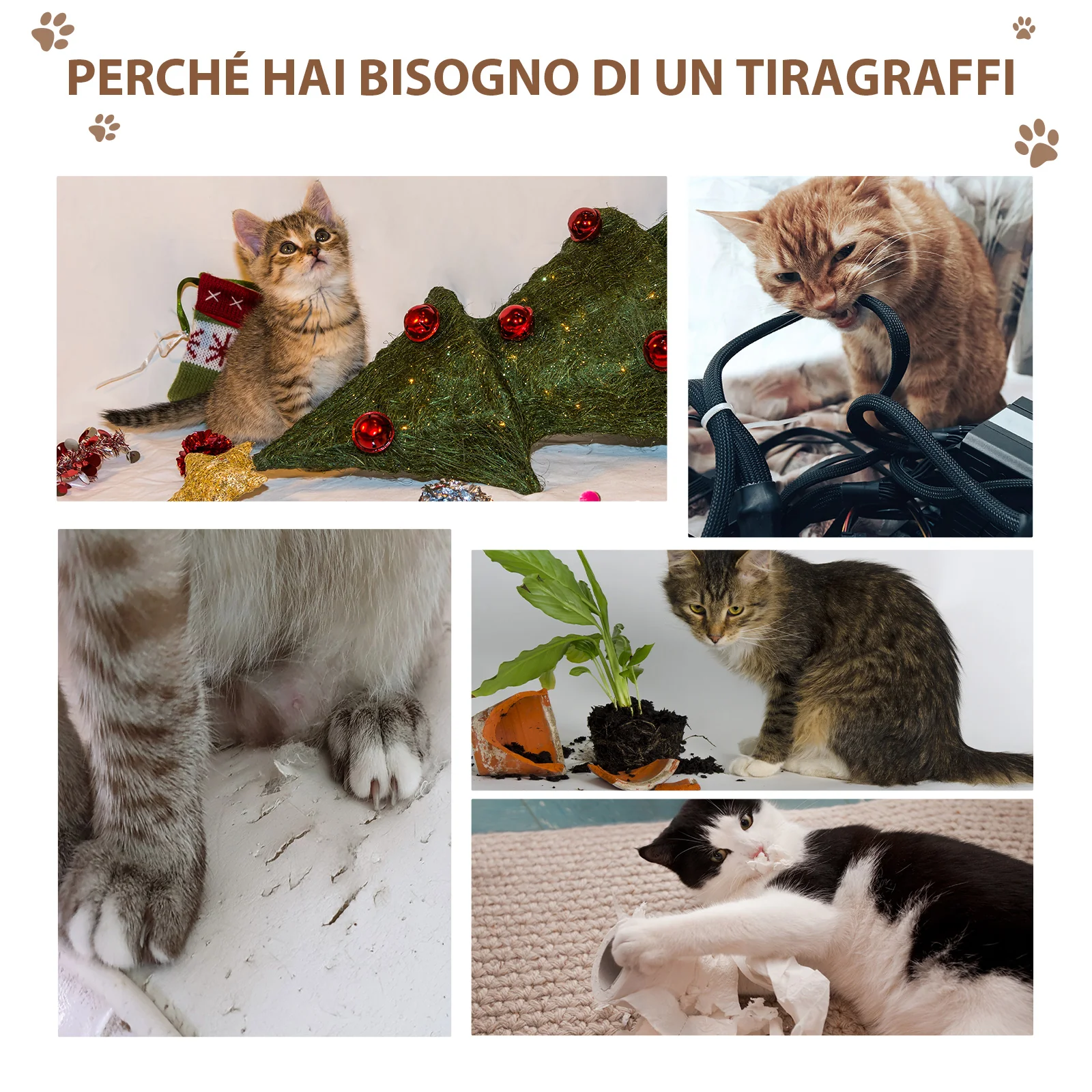 Immagine prodotto 7