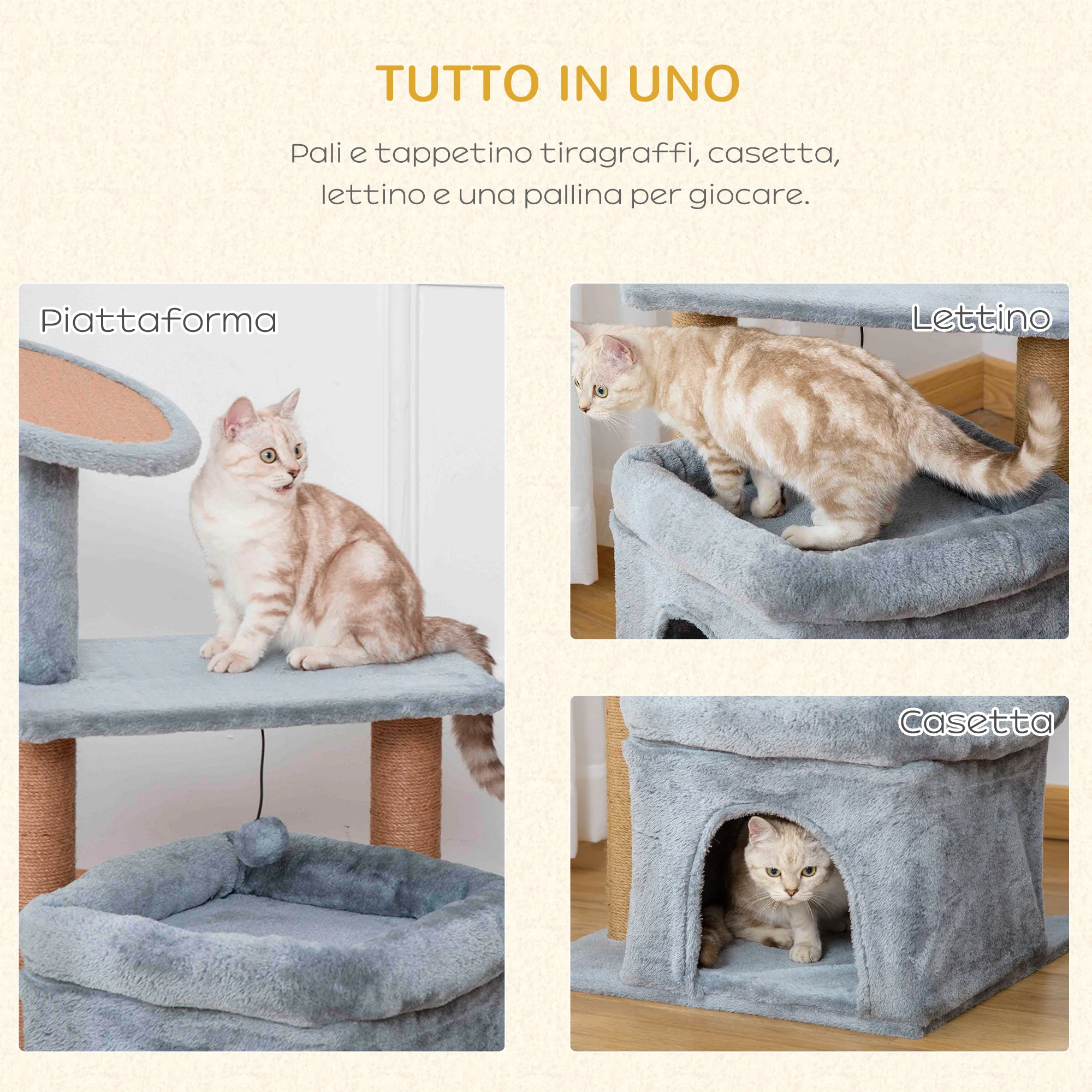 Immagine prodotto 5