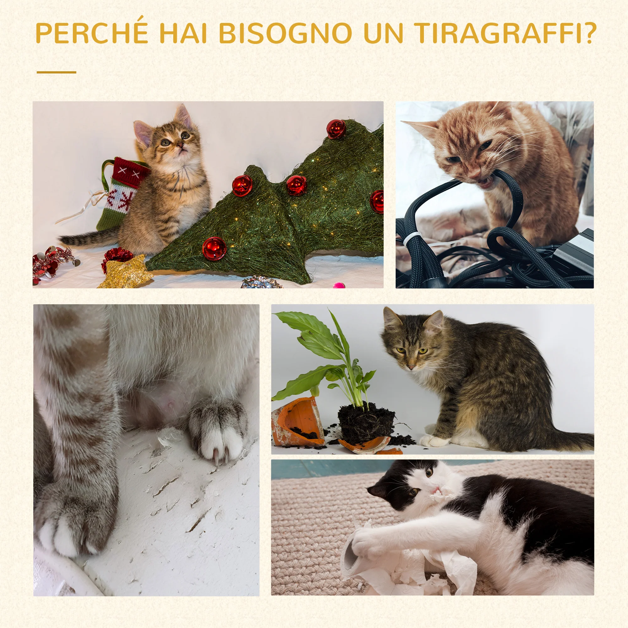 Immagine prodotto 6