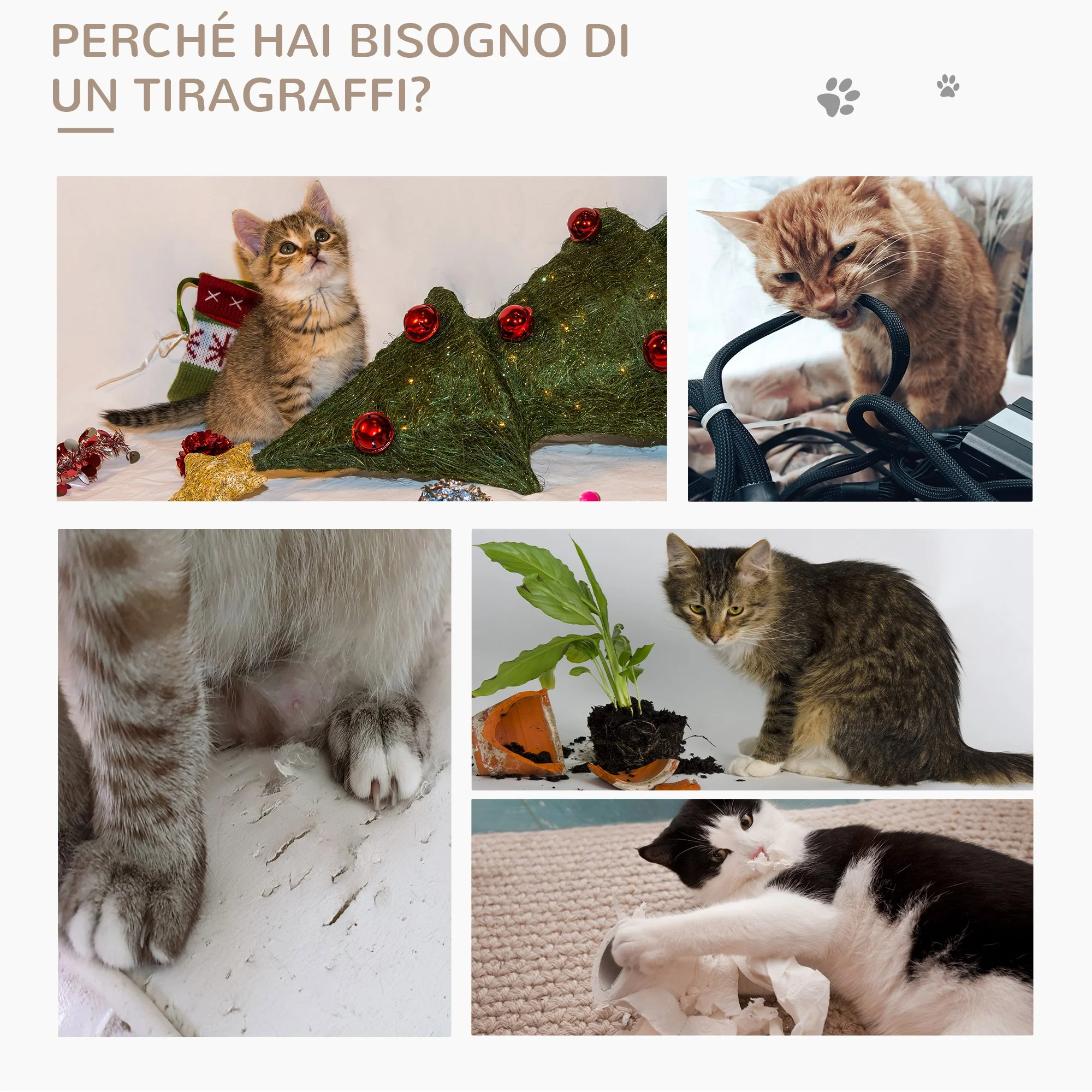 Immagine prodotto 6