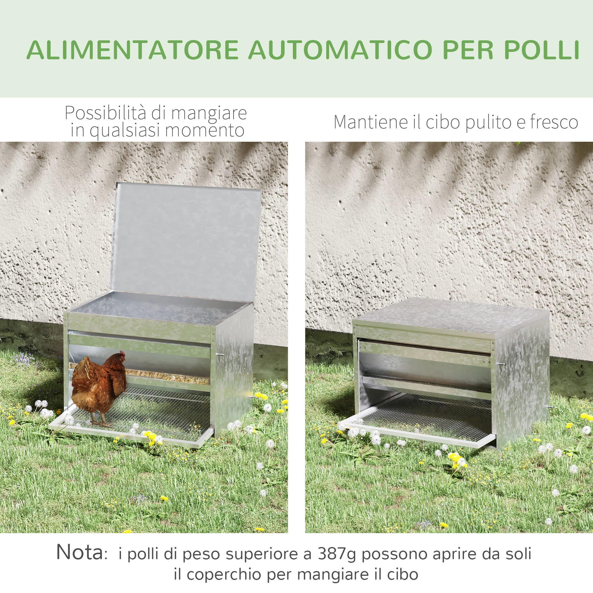 Immagine prodotto 5
