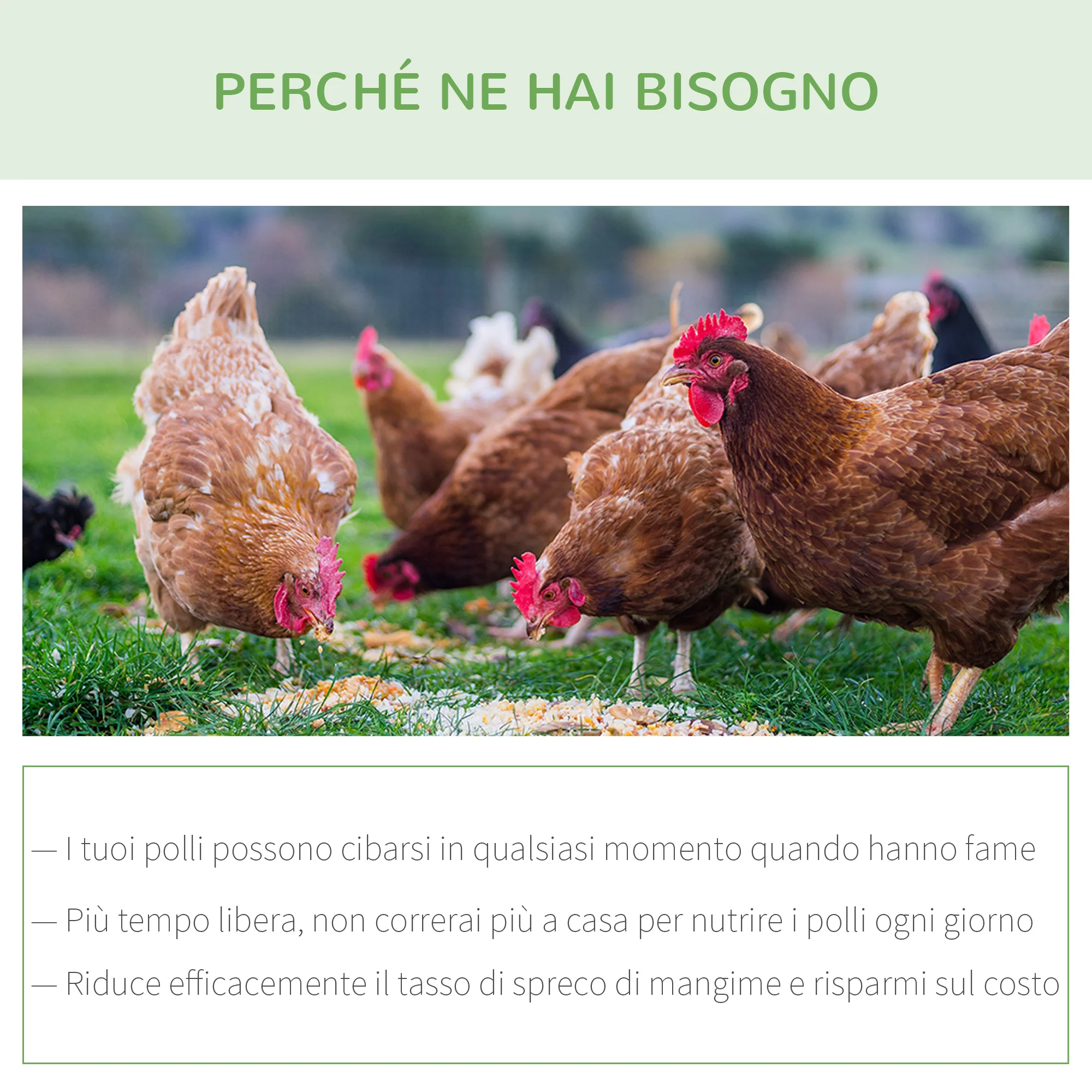 Immagine prodotto 7