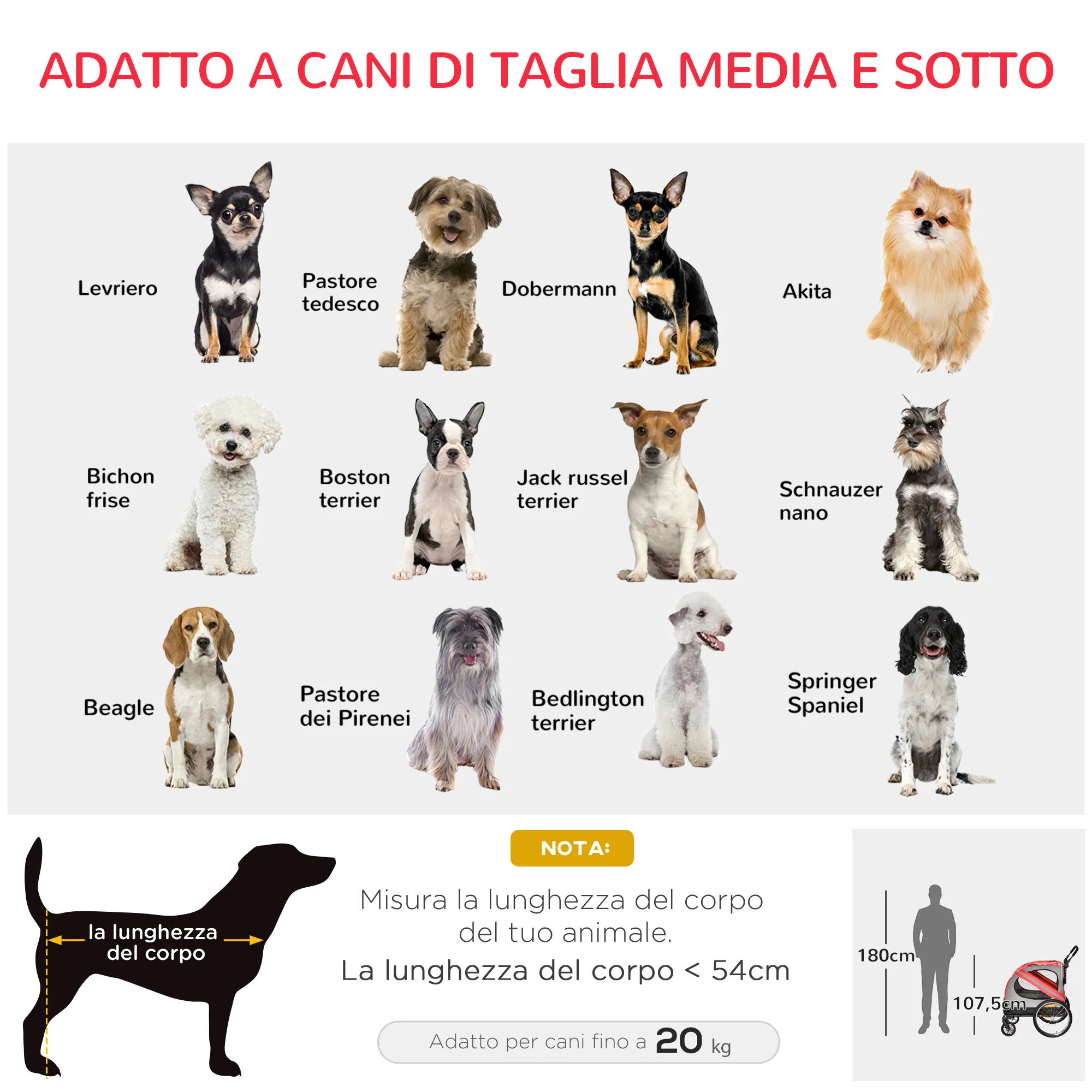 Immagine prodotto 5