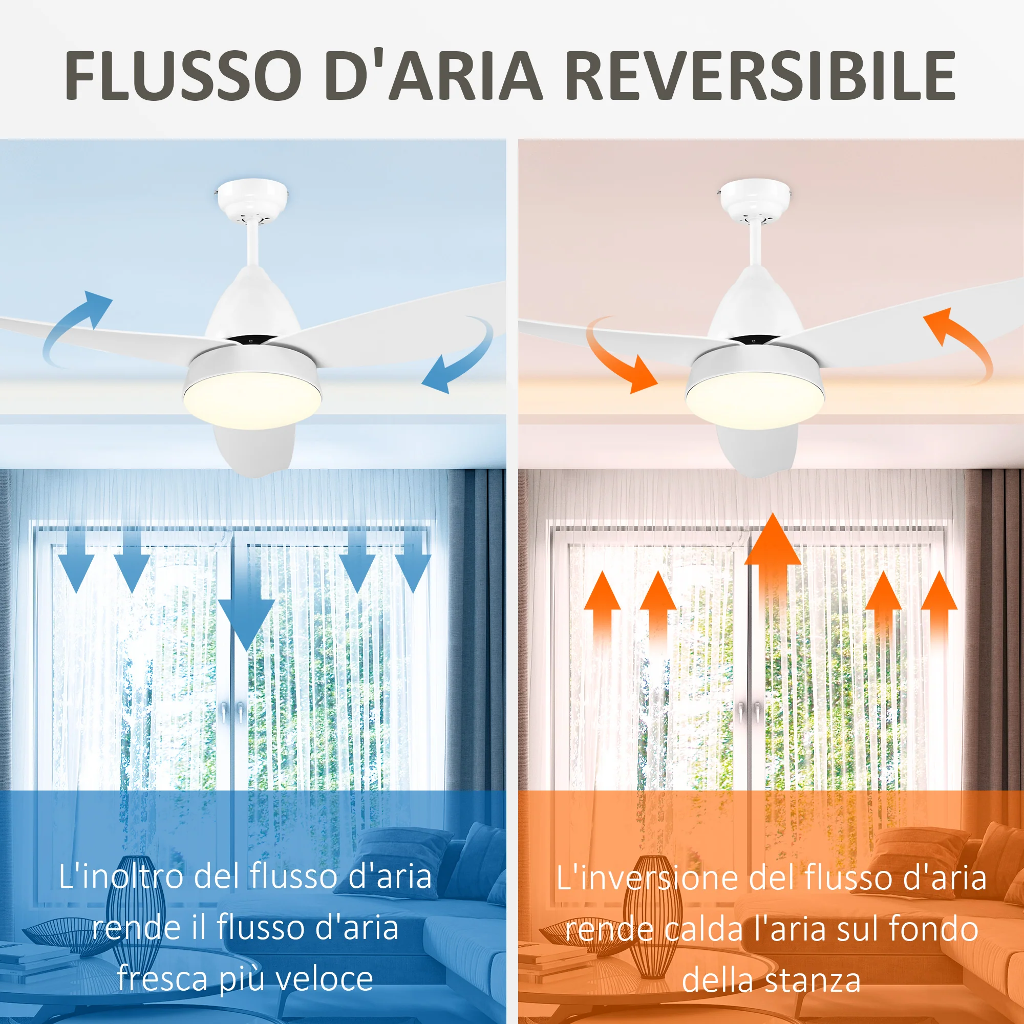 Immagine prodotto 5