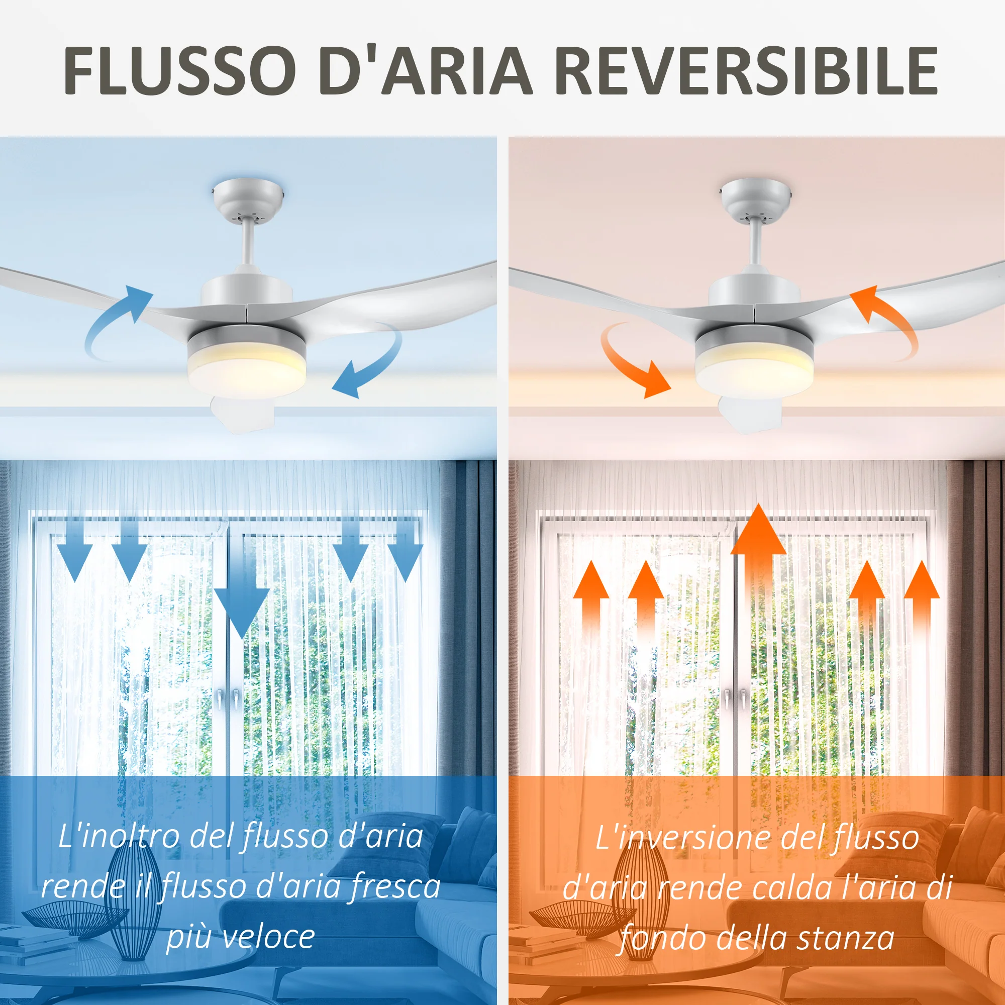 Immagine prodotto 6